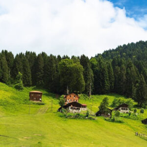 Ayder Yayla Turu